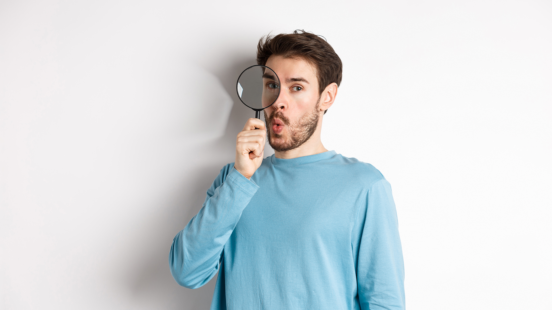 Do Spiders Feel Pain? Investigating Arachnid Sensations