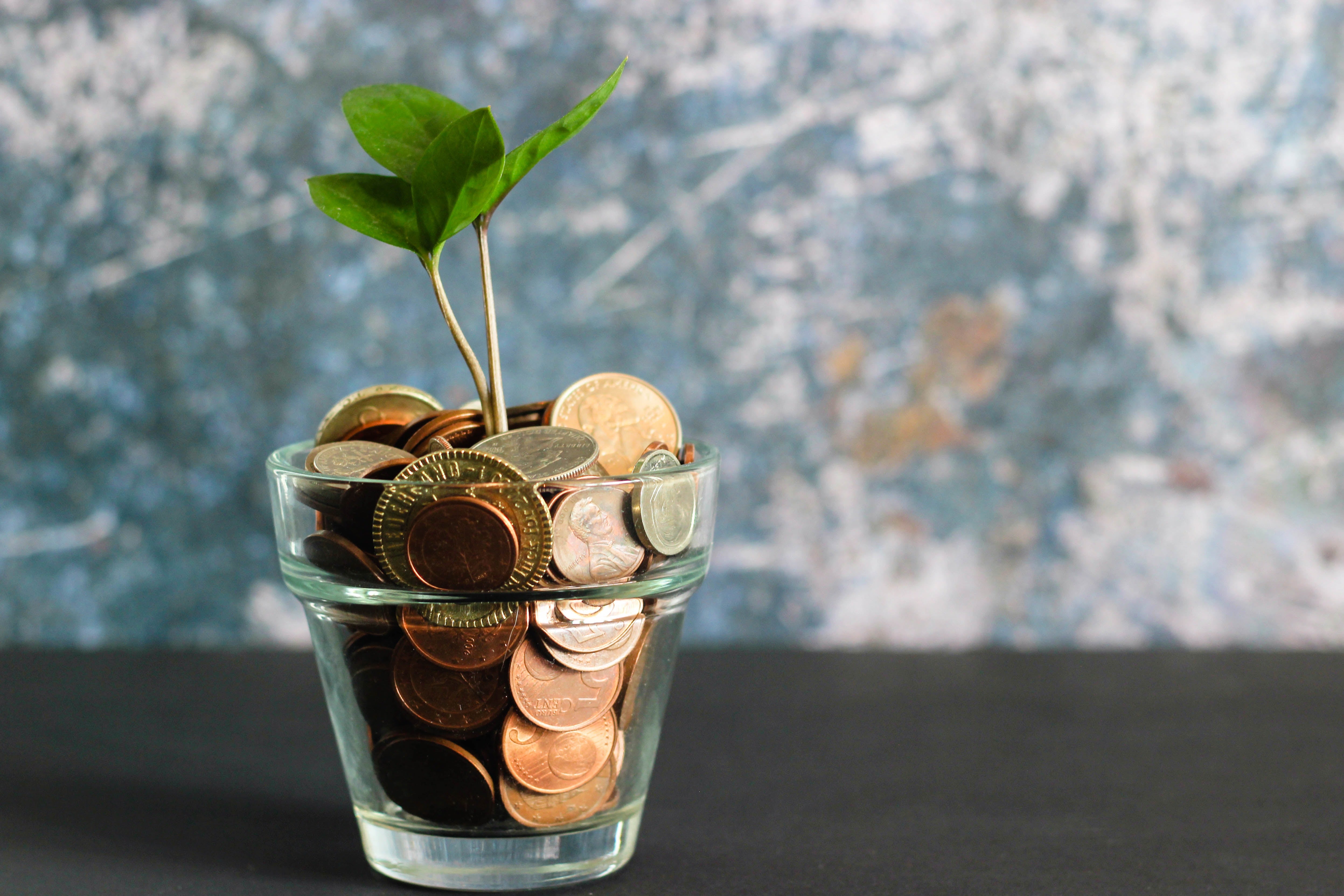 5 Simple Money Saving Tips to Try Today