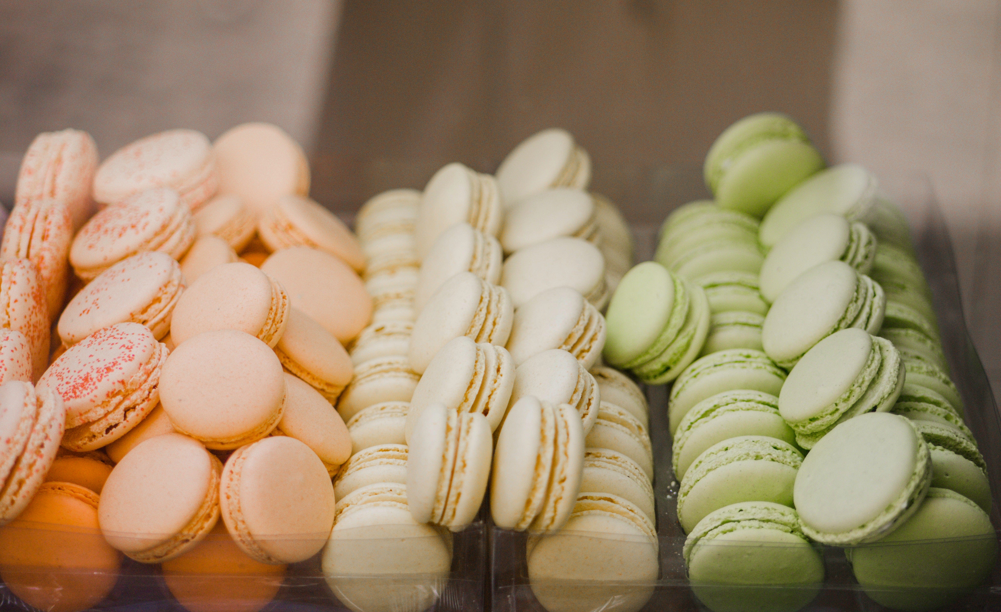 The Effects of Processed Sugar on Your Brain