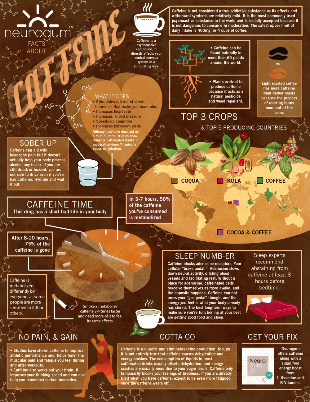 Facts about Caffeine