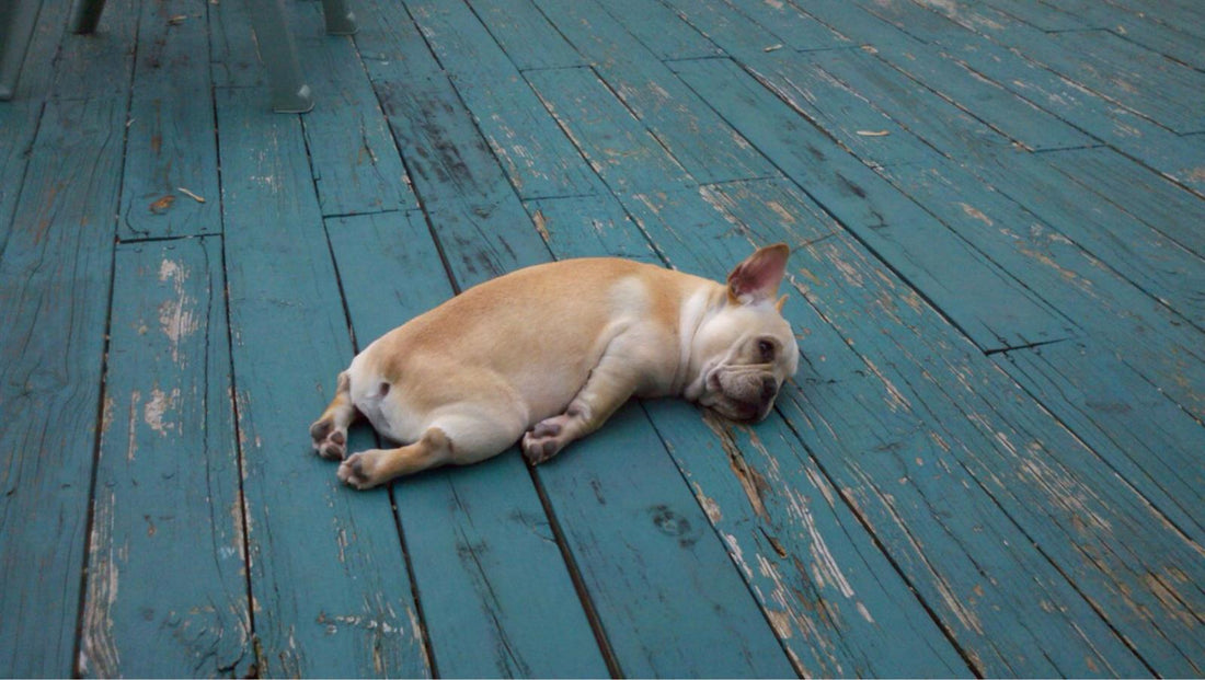 What Are Some Ways to Function While Tired?