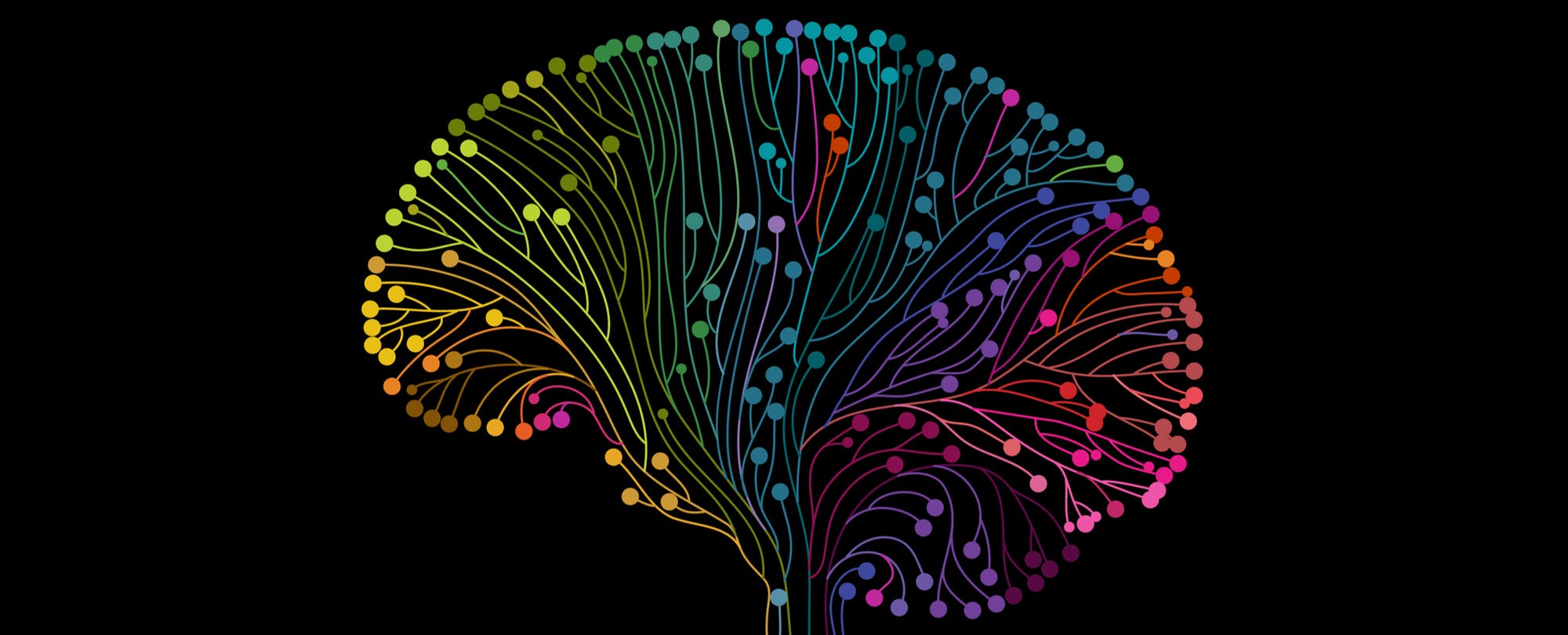 Tips to Increase Neuroplasticity