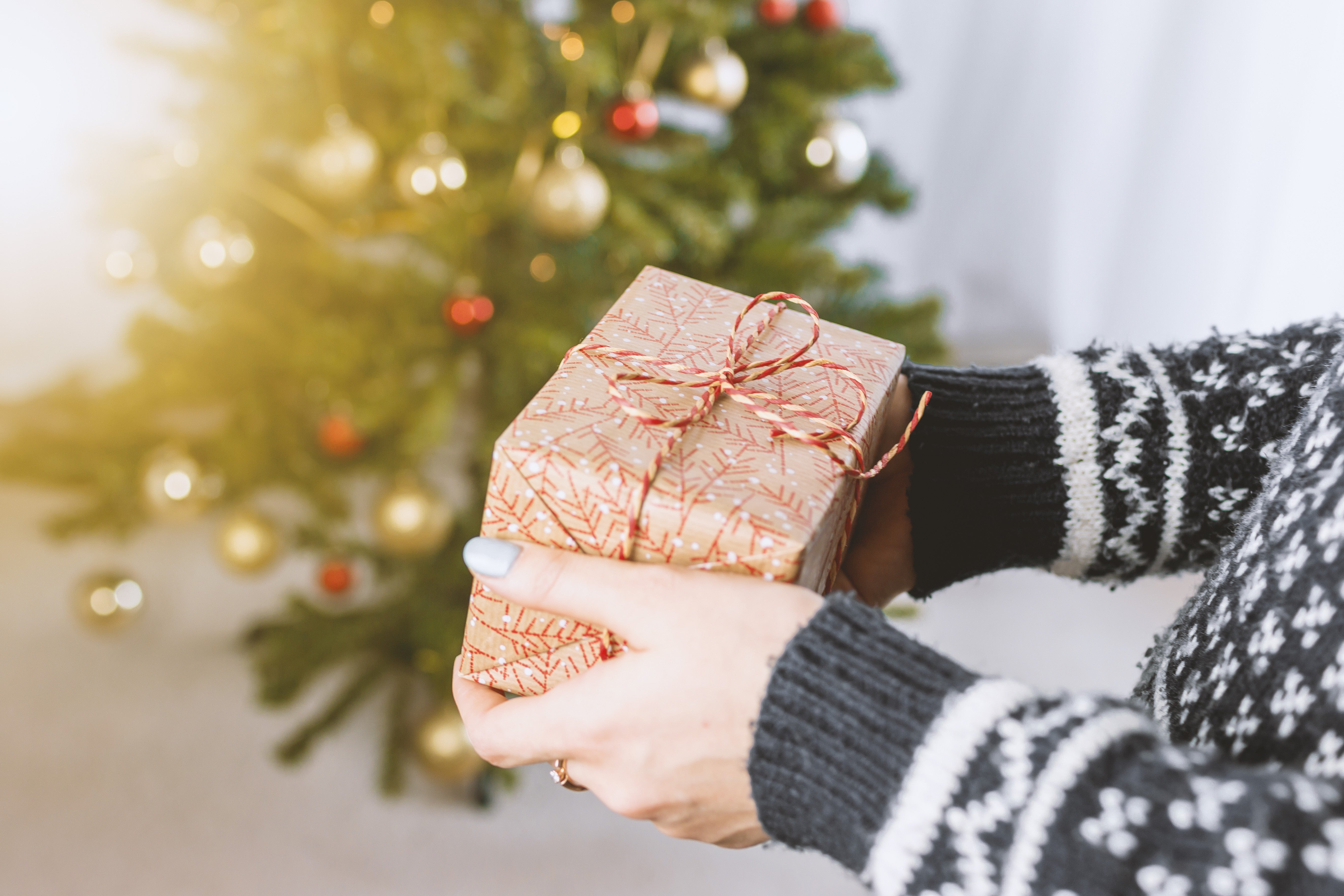 Healthy Christmas - 28 of the Best Fitness Gifts