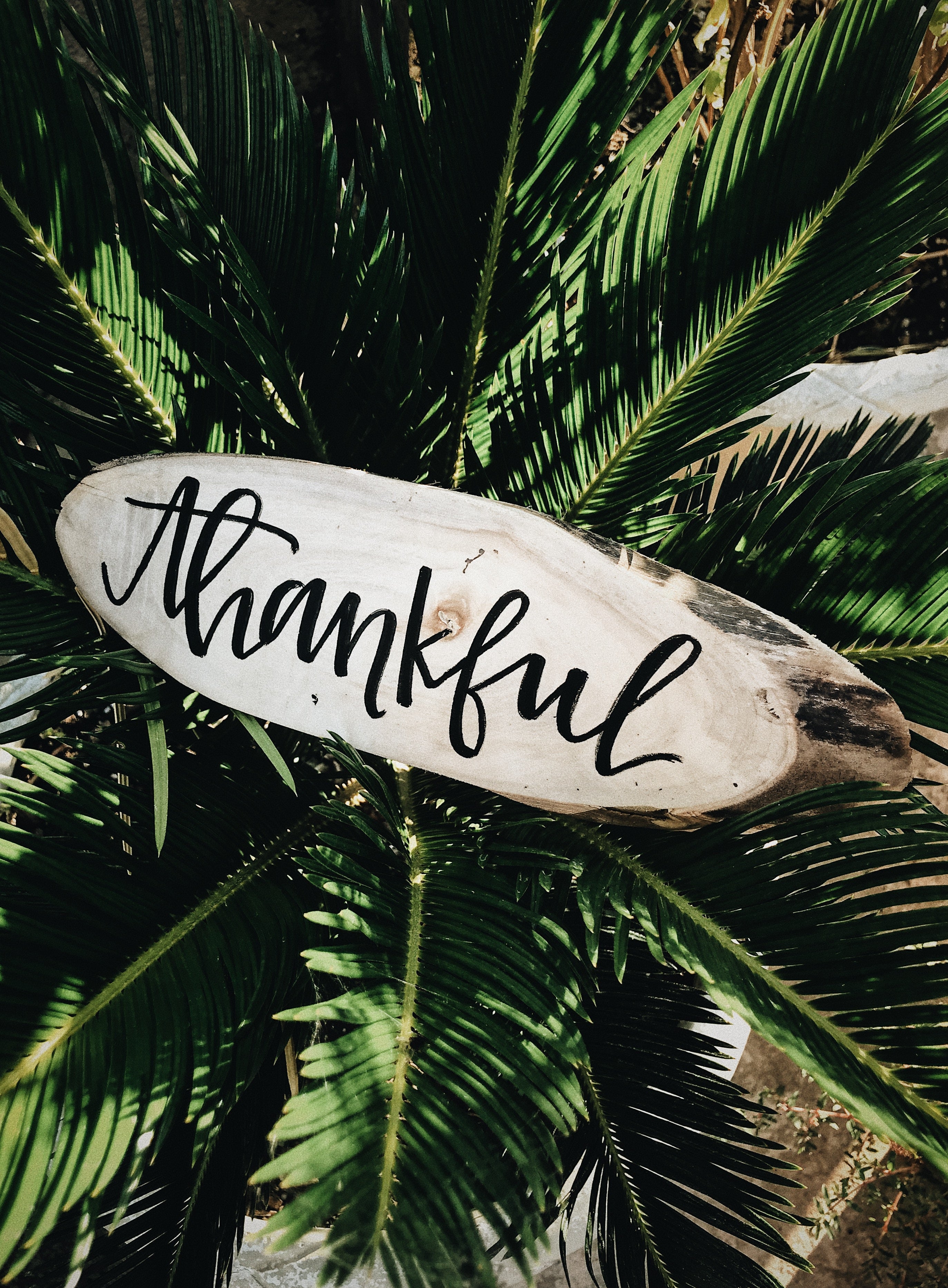 The Importance of Gratitude in the Workplace