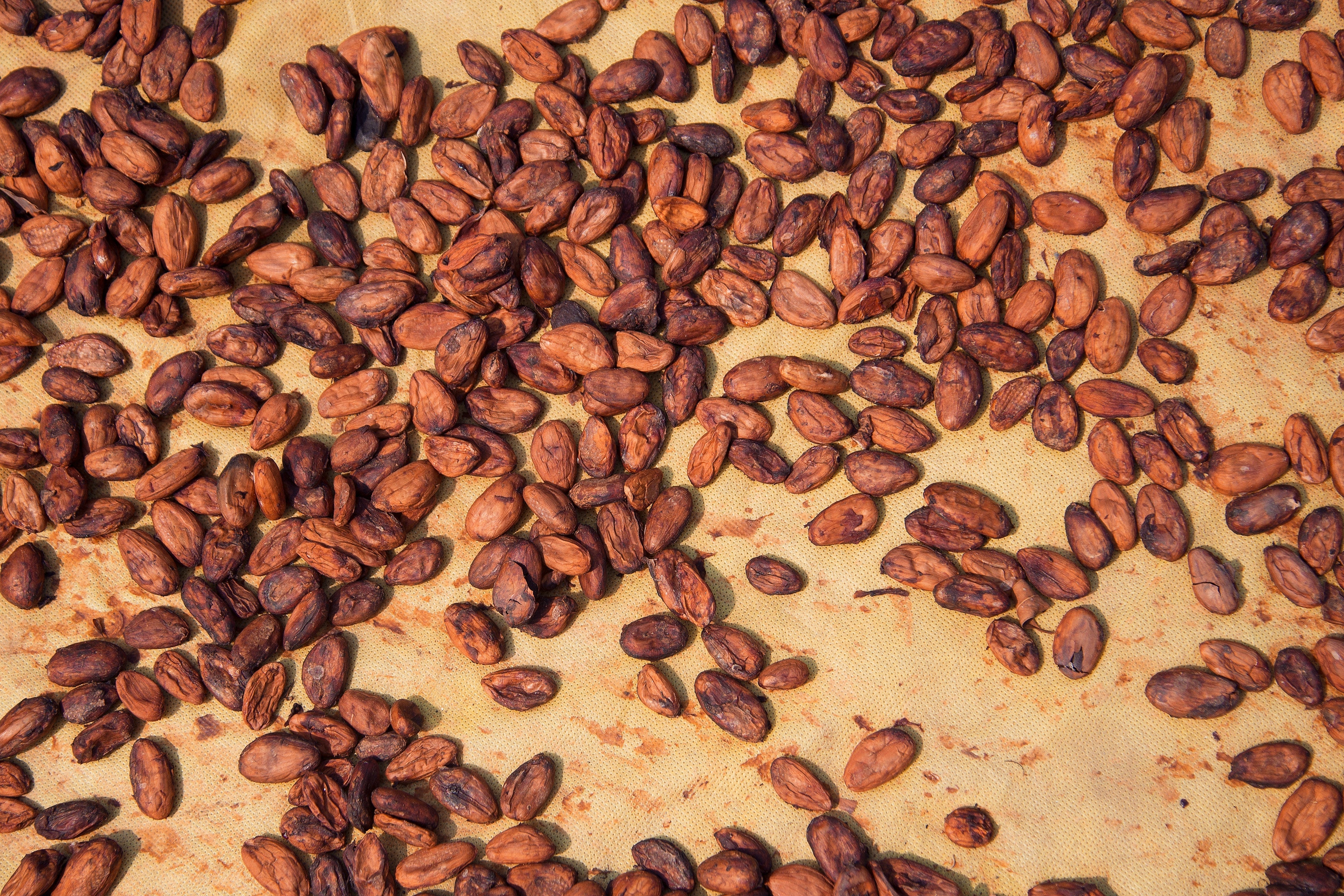 4 Powerful Superfoods That Increase Productivity