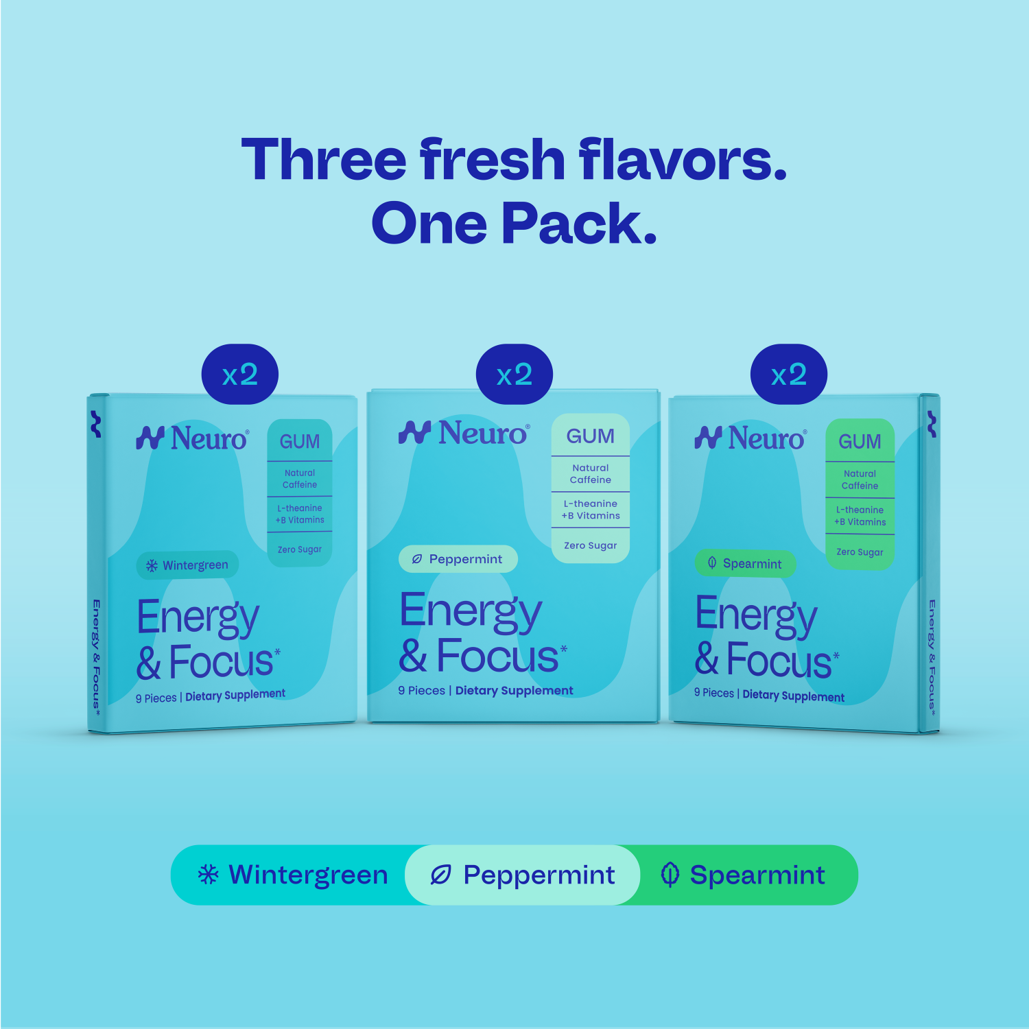 Peppermint | Spearmint | Wintergreen / 6 pack (54 pc)