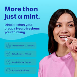 Wintergreen / 90-piece pack