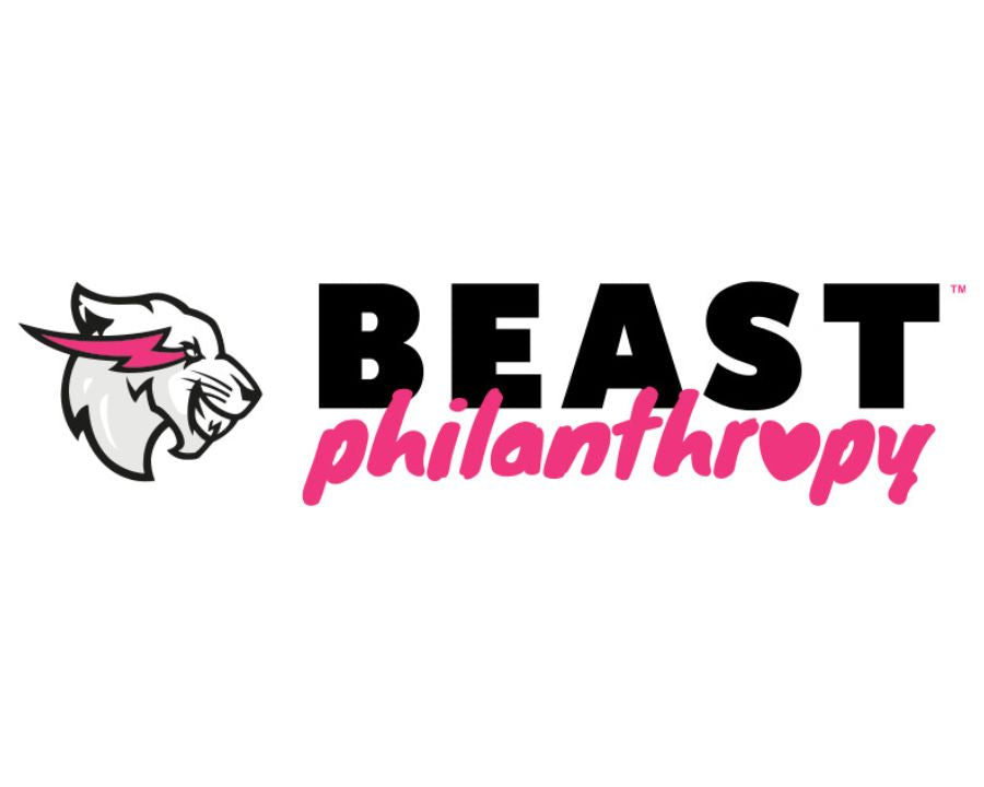 Donation to Beast Philanthropy