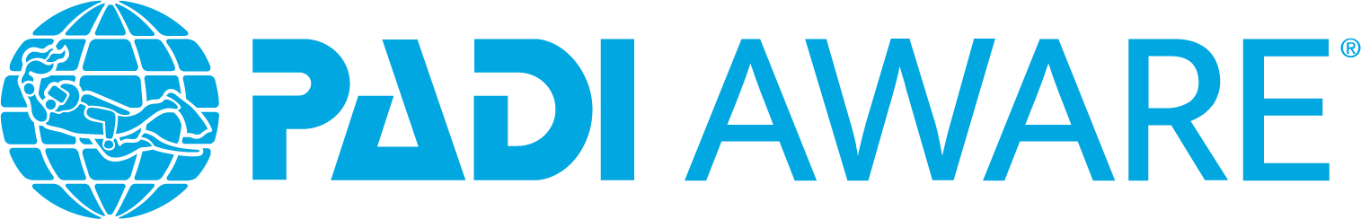 Donation to Beast Philanthropy