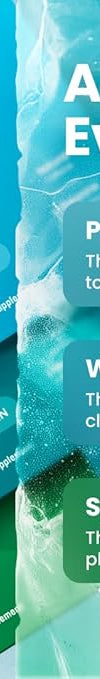 Peppermint | Spearmint | Wintergreen / 6 pack (54 pc)