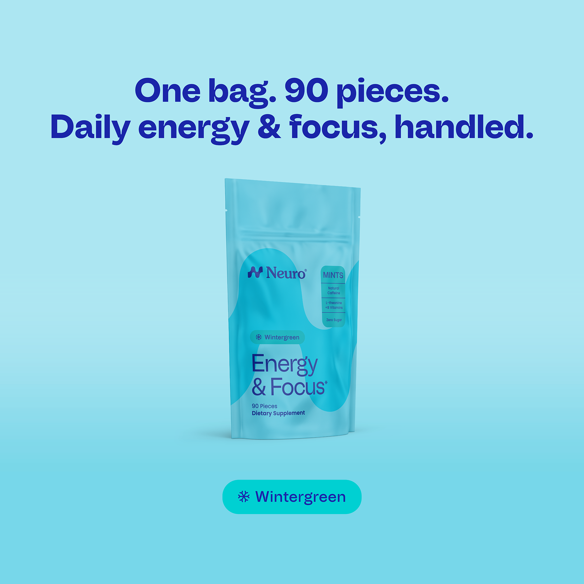 Wintergreen / 90-piece pack