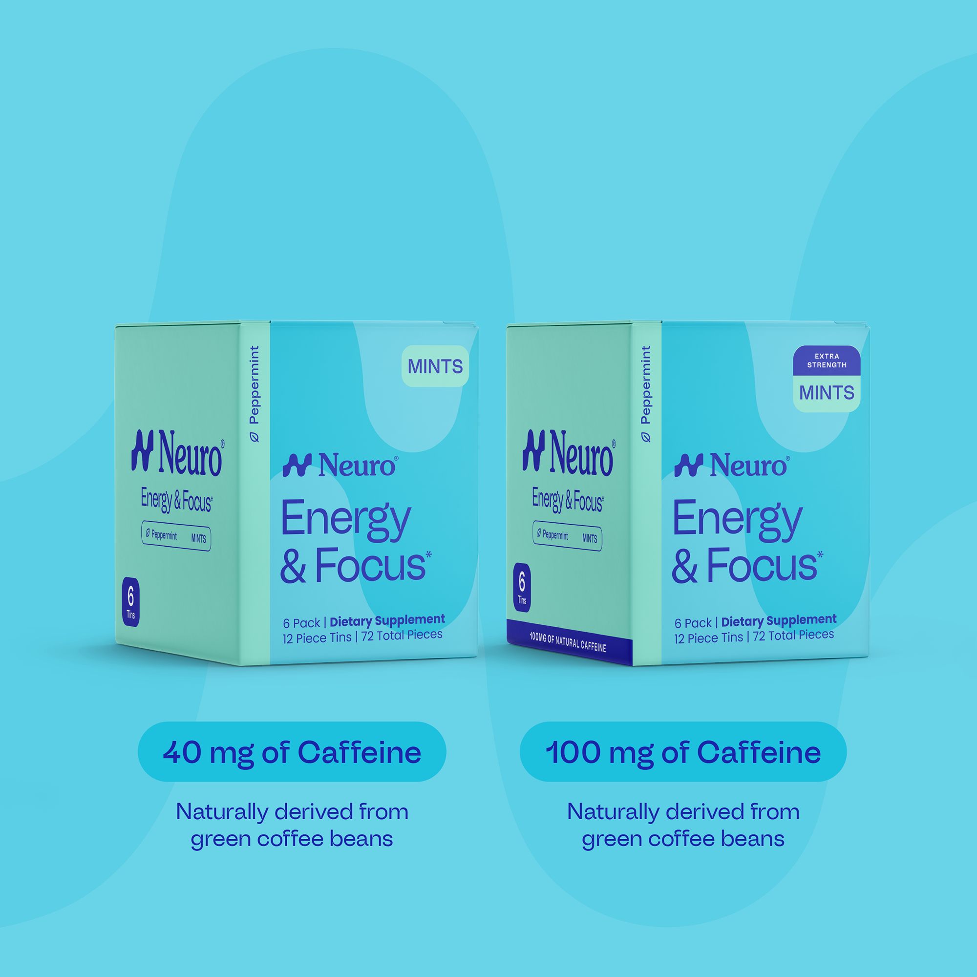 Boost & Beyond Mints – 6-Pack Bundle