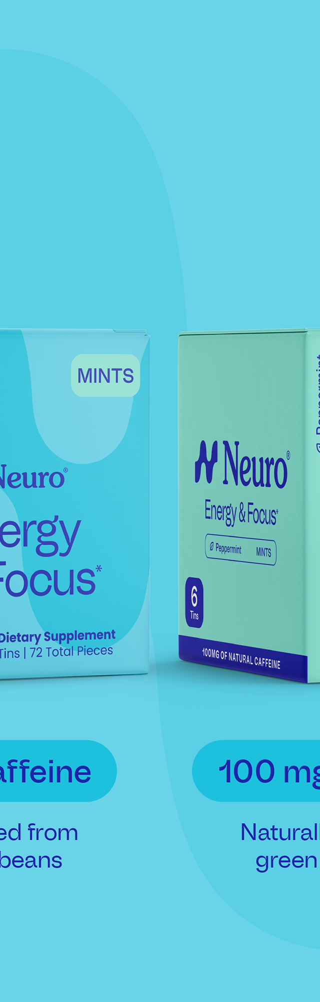 Boost & Beyond Mints – 6-Pack Bundle