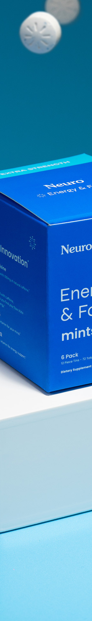 Peppermint / 6 pack (72 pc)