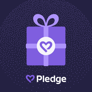 Donation to Baby Quest Foundation